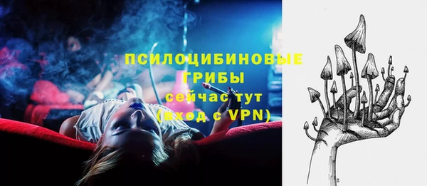стаф Алексеевка